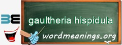 WordMeaning blackboard for gaultheria hispidula